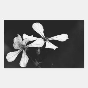 Pegatina Rectangular floral blanca y negra mínima