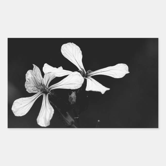 Pegatina Rectangular floral blanca y negra mínima (Anverso)