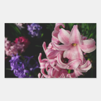 Pegatina Rectangular Floral de primavera de Hyacint rosado