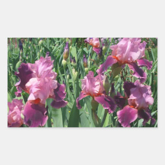 Pegatina Rectangular Floral de primavera de irisis moradas
