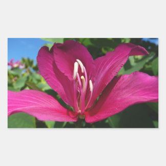 Pegatina Rectangular Floral tropical