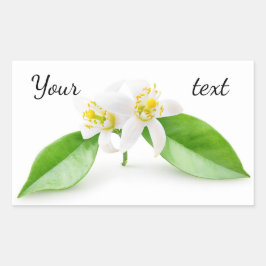 Pegatina Rectangular Flores arbóreas naranjas