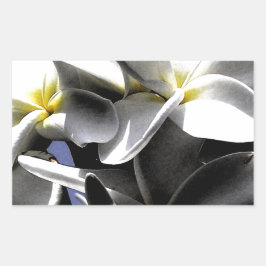 Pegatina Rectangular Flores artísticas de plumeria