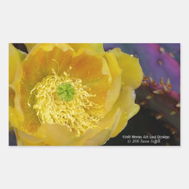 Pegatina Rectangular Flores de cactus amarillas de opuntia púrpura (Anverso)