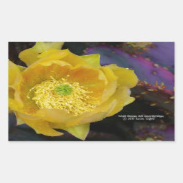 Pegatina Rectangular Flores de cactus amarillas de opuntia púrpura