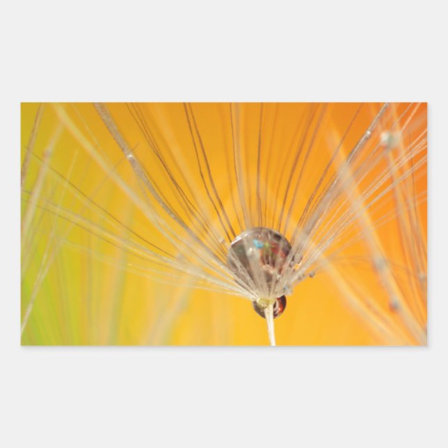 Pegatina Rectangular Flores de flores de flores de Dandelion destruyen  (Anverso)