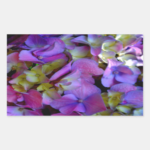 Pegatina Rectangular Flores de Hydrangeas azul morado