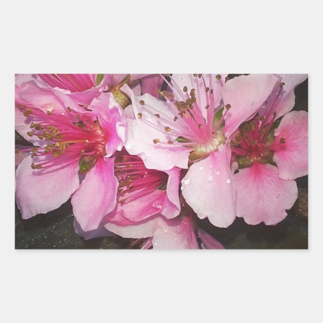 Pegatina Rectangular Flores de melocotón (Anverso)