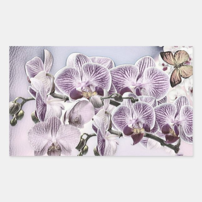 Pegatina Rectangular Flores de orquídea y dibujos de mariposas lindos r (Anverso)