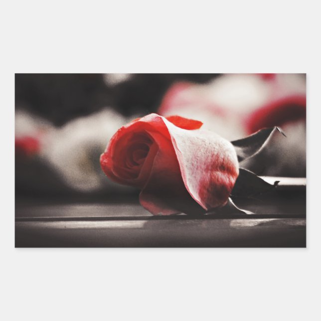 Pegatina Rectangular Flores rosa rosadas vintage (Anverso)