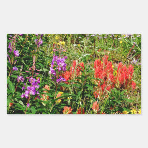 Pegatina Rectangular Flores silvestres de Montaña Rocosa