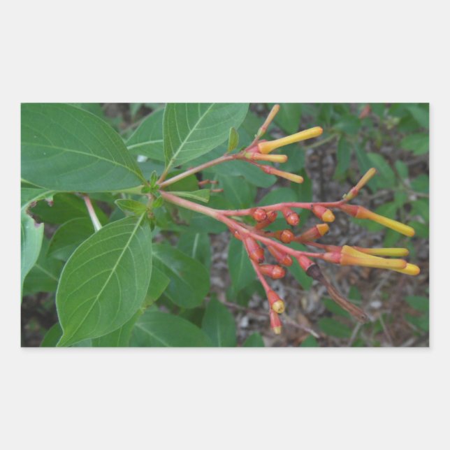 Pegatina Rectangular Flores tropicales florecientes (Anverso)