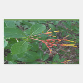 Pegatina Rectangular Flores tropicales florecientes