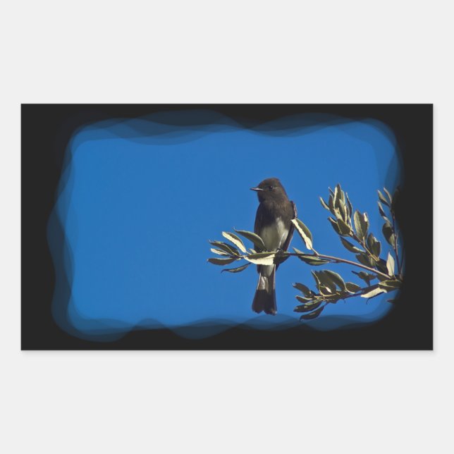 Pegatina Rectangular Fly Catcher (Anverso)