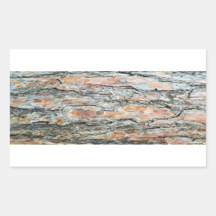 Pegatina Rectangular fondo de la naturaleza de la textura de corteza de