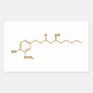 Pegatina Rectangular Fórmula química de la Molécula Ginger Gingerol