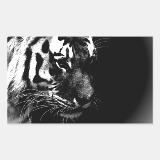 Pegatina Rectangular Foto de arte de Tigres Blancos Negros (Anverso)