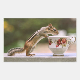 Pegatina Rectangular Foto de Chipmunk con China Teacup