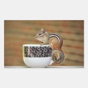 Pegatina Rectangular Foto de Chipmunk con Latte Coffee Cup