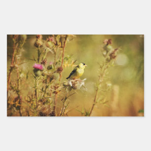 Pegatina Rectangular Foto de Goldfinch