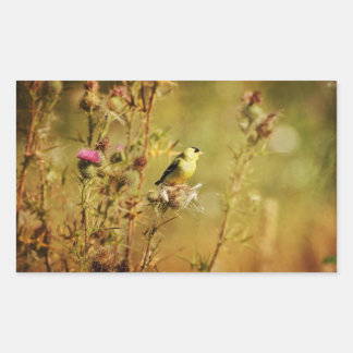 Pegatina Rectangular Foto de Goldfinch