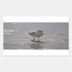 Pegatina Rectangular Foto de la gaviota