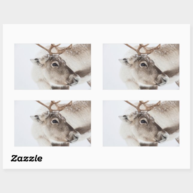 Pegatina Rectangular Foto de la naturaleza de los renos (Hoja)