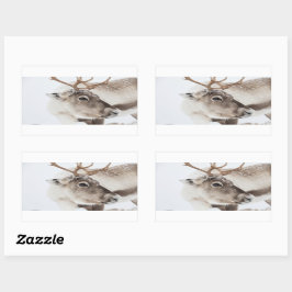 Pegatina Rectangular Foto de la naturaleza de los renos