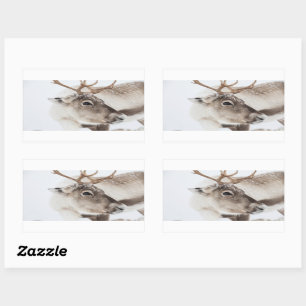 Pegatina Rectangular Foto de la naturaleza de los renos