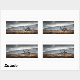 Pegatina Rectangular Foto de la naturaleza de los renos