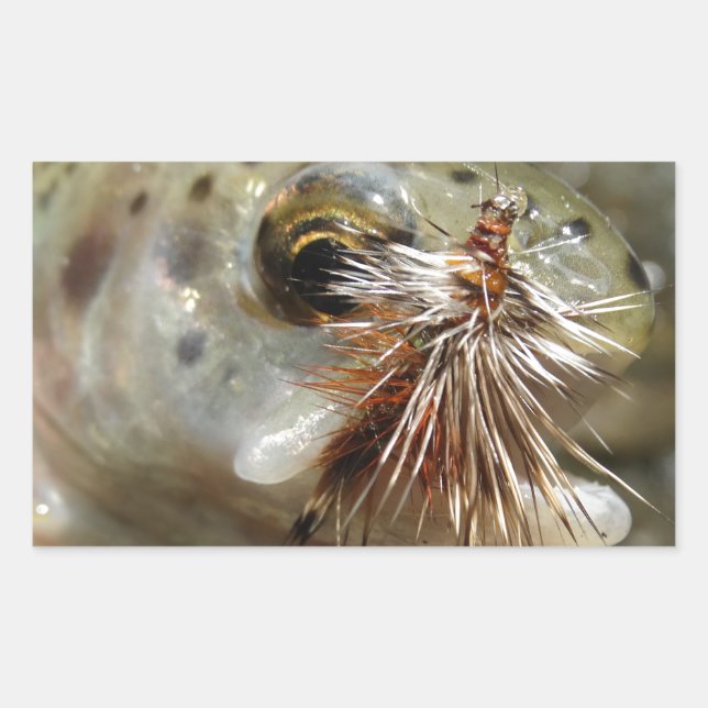 Pegatina Rectangular Foto de Rainbow Trout (Anverso)