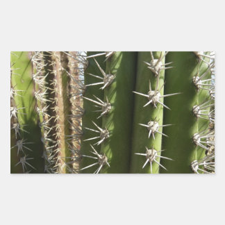 Pegatina Rectangular Foto natural del desierto de Cactus II de Barrel