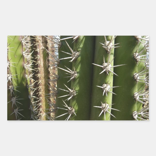 Pegatina Rectangular Foto natural del desierto de Cactus II de Barrel (Anverso)
