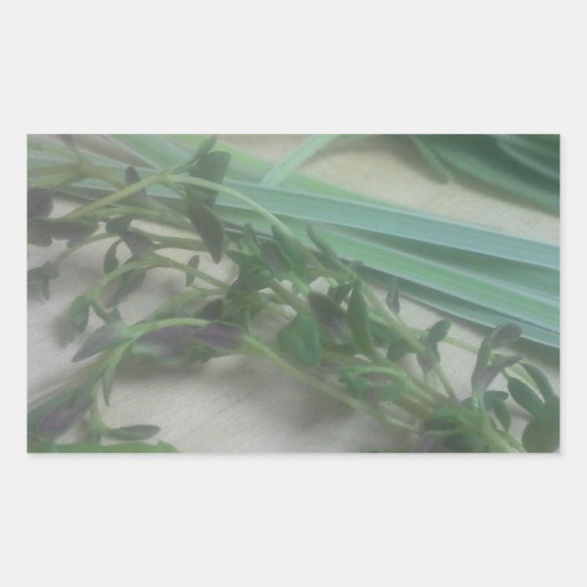 Pegatina Rectangular Fotografía de hierbas antiguas (Anverso)