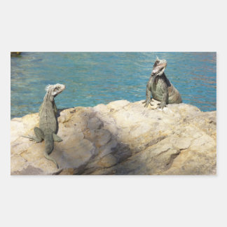 Pegatina Rectangular Fotografía de Iguanas y Vida Silvestre Tropical