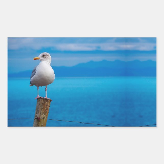 Pegatina Rectangular Fotografía de pájaro de gaviota de pie (Anverso)