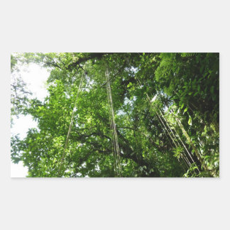 Pegatina Rectangular Fotografía de selva tropical de jungle Ropes