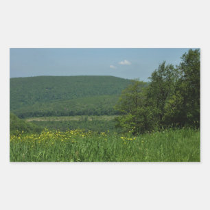 Pegatina Rectangular Fotografía de verano de Laurel Highlands Pennsylva