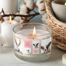 Fotos de perros de colección | Perro es mi San Val