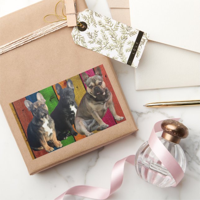 Pegatina Rectangular  französische  Bulldogge  3 Hunde French Bulldog (Regalar)