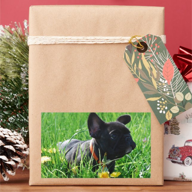 Pegatina Rectangular Französische Bulldogge Wiese French Bulldog (Vacaciones)