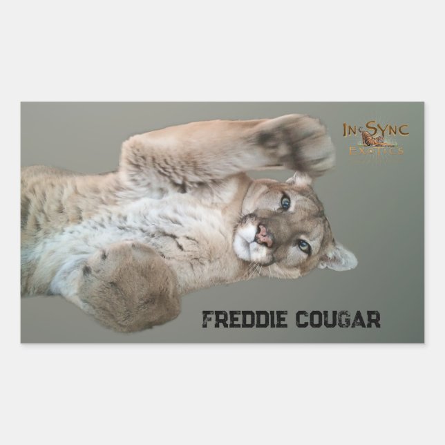 Pegatina Rectangular Freddie Cougar (Anverso)