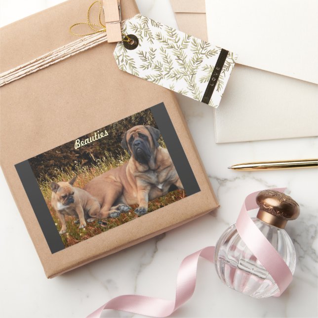 Pegatina Rectangular French Bulldog und Mastiff Freunde (Regalar)