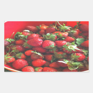 Pegatina Rectangular Fresas clásicas