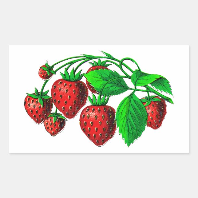 Pegatina Rectangular Fresas frescas (Anverso)