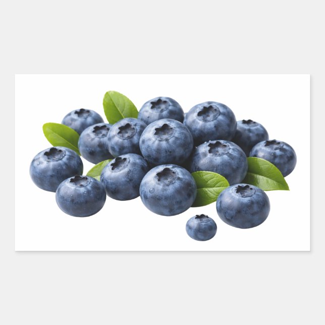 Pegatina Rectangular Fresh Blueberries with Leaves Sticker (Anverso)