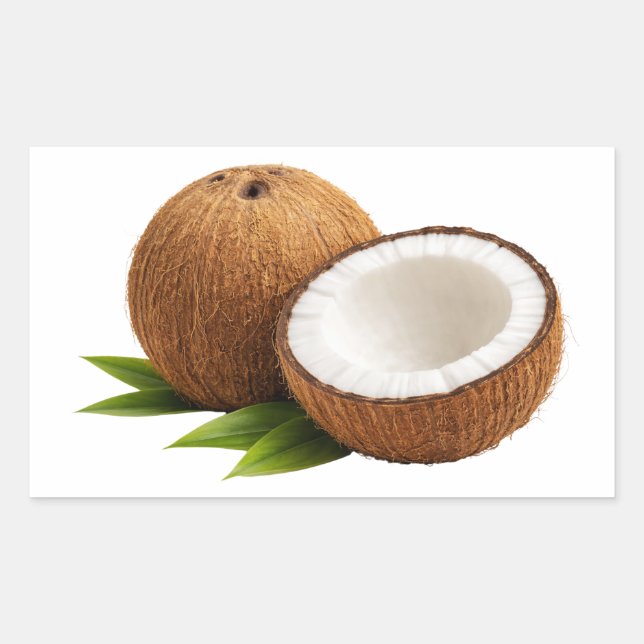Pegatina Rectangular Fresh Coconut With Half Cut Slice Sticker (Anverso)