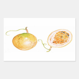 Pegatina Rectangular Fruta de la pasión amarilla