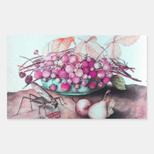 PEGATINA RECTANGULAR FRUTAS DE TEMPORADA / FRESCOS Y PILAS