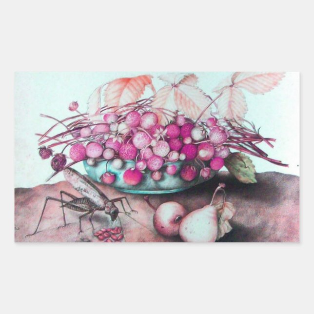 PEGATINA RECTANGULAR FRUTAS DE TEMPORADA / FRESCOS Y PILAS (Anverso)